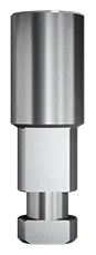Implant Analog Internal Hex Ditron Dental Ltd.
