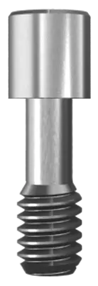 Titanium Abutment Screw L8.1mm Ditron Dental Ltd.