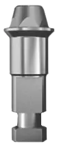Analog for Multi-Unit Abutment Ditron Dental Ltd.