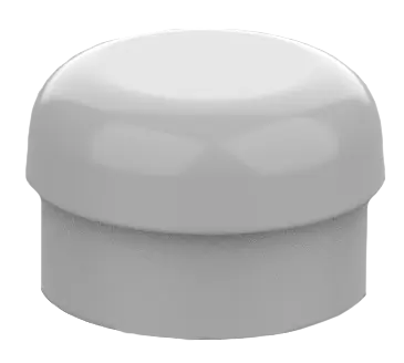 Caps for Overdenture Restoration Ditron Dental Ltd.