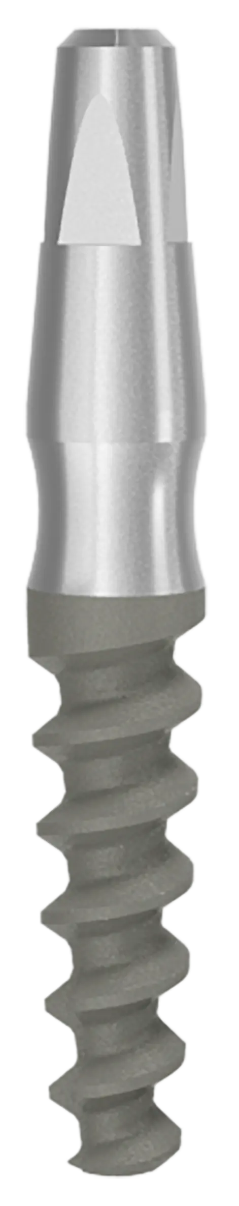One Piece Implant Ditron Dental Ltd.