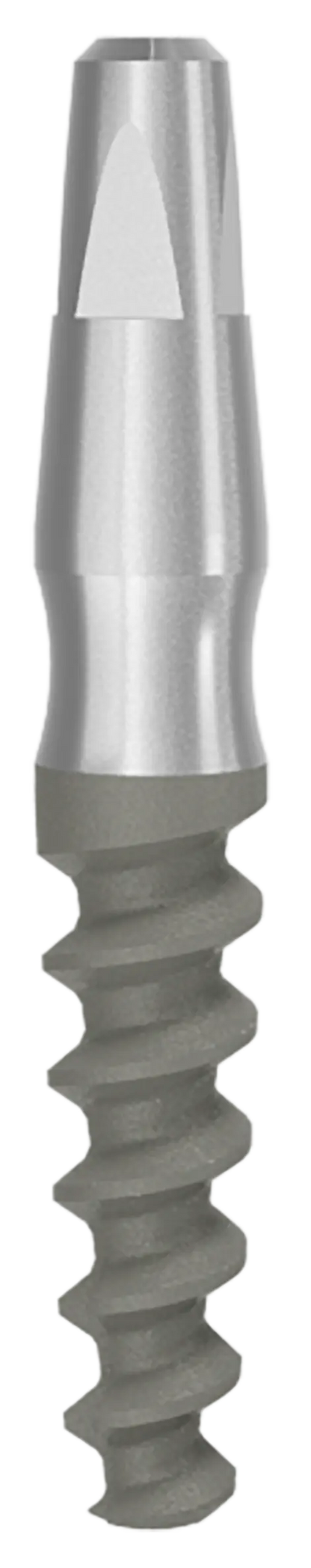 One Piece Implant Ditron Dental Ltd.