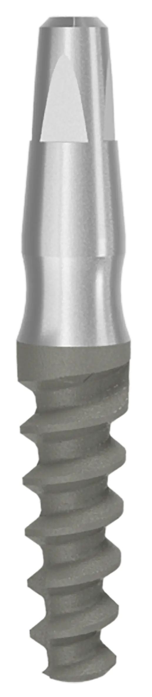 One Piece Implant Ditron Dental Ltd.
