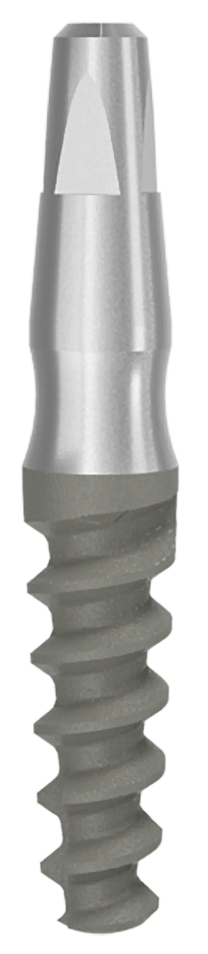 One Piece Implant Ditron Dental Ltd.