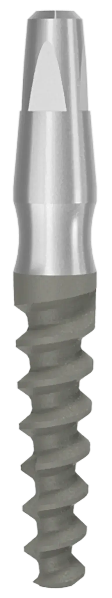 One Piece Implant Ditron Dental Ltd.