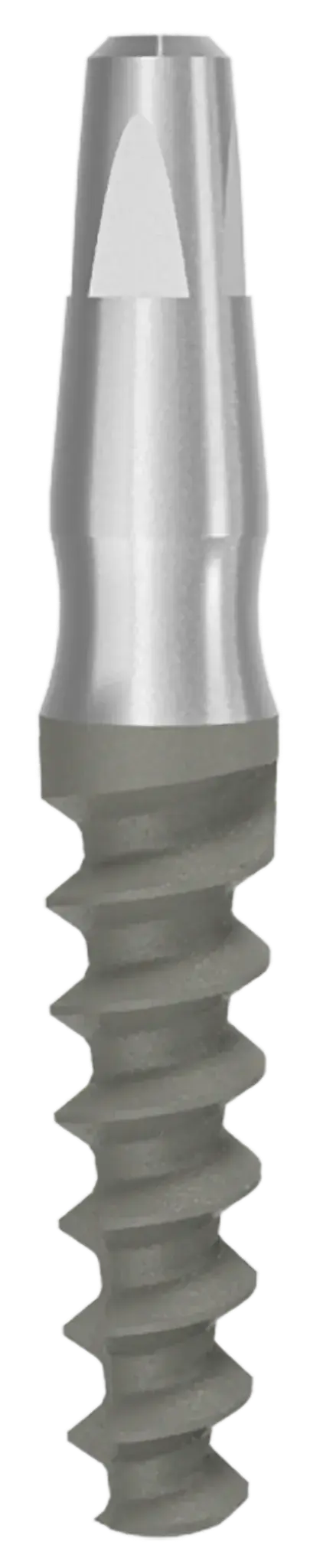 One Piece Implant Ditron Dental Ltd.