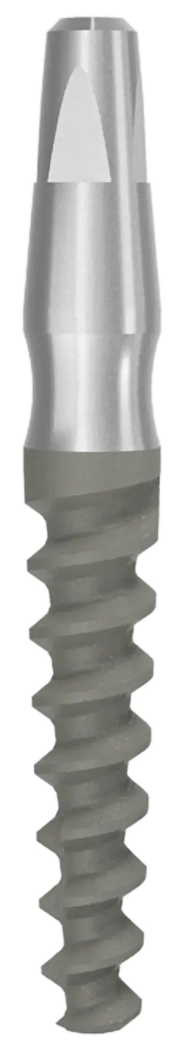 One Piece Implant Ditron Dental Ltd.