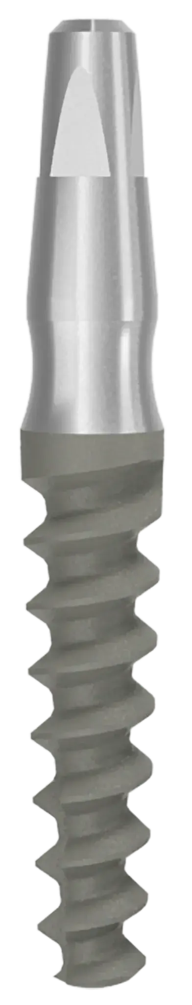 One Piece Implant Ditron Dental Ltd.