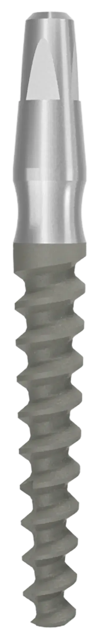One Piece Implant Ditron Dental Ltd.
