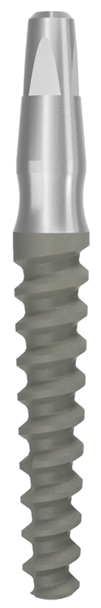 One Piece Implant Ditron Dental Ltd.