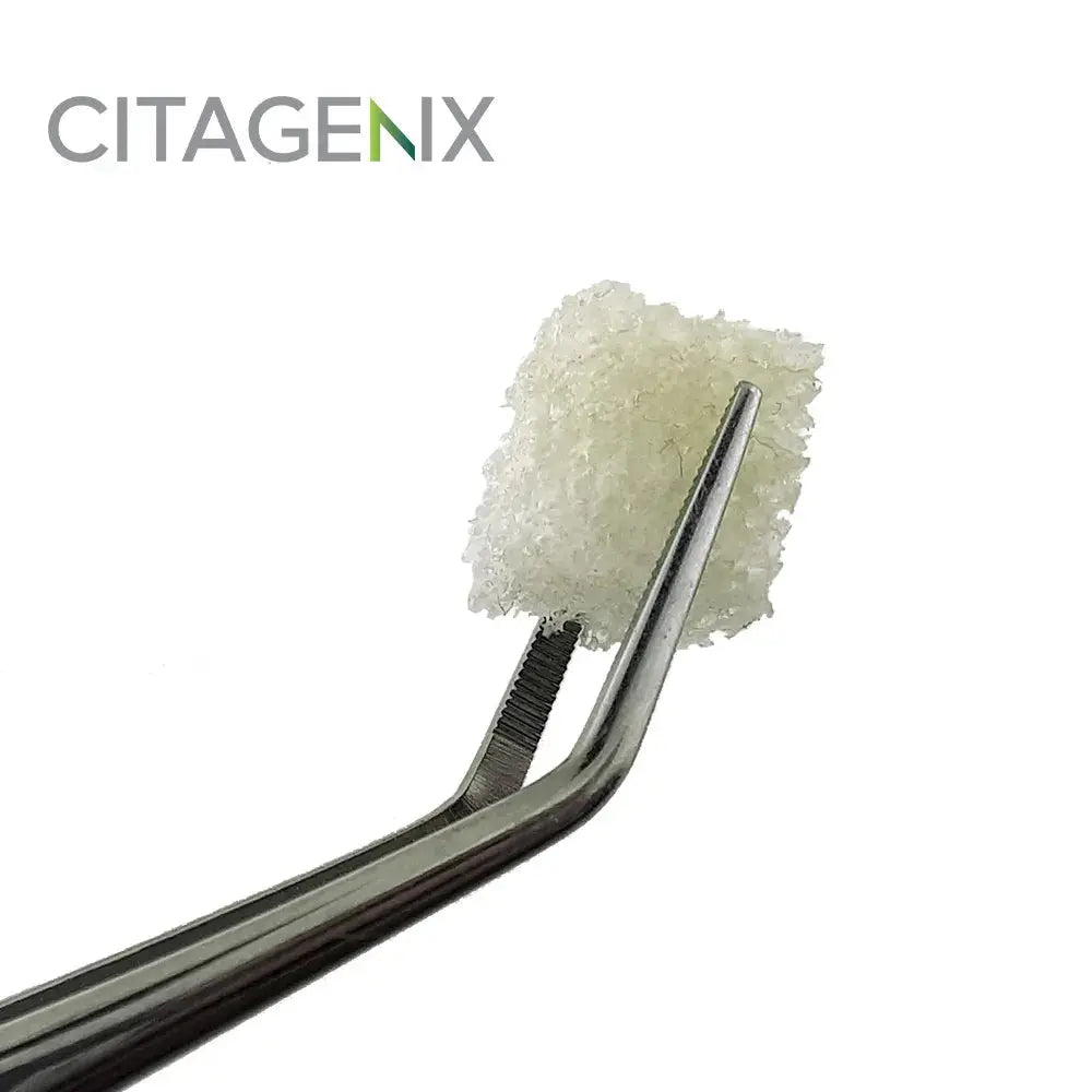 PentOs OI Allograft DBM Syringe Citagenix